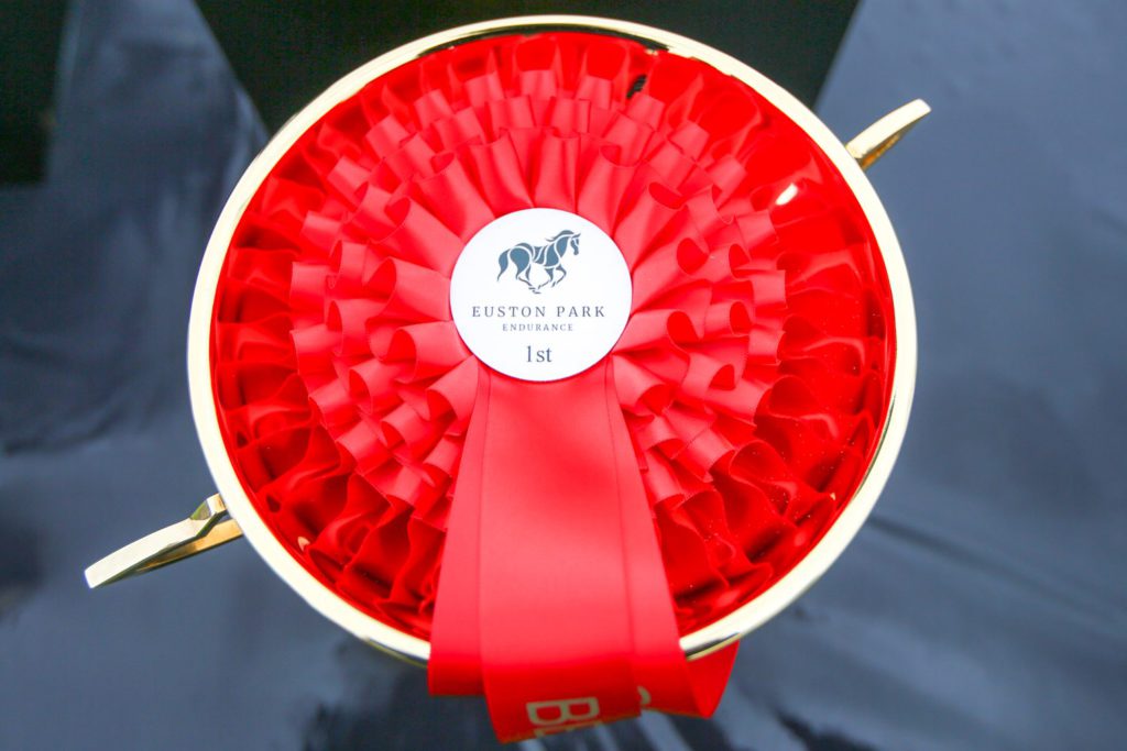 Equestrian event photographer UK