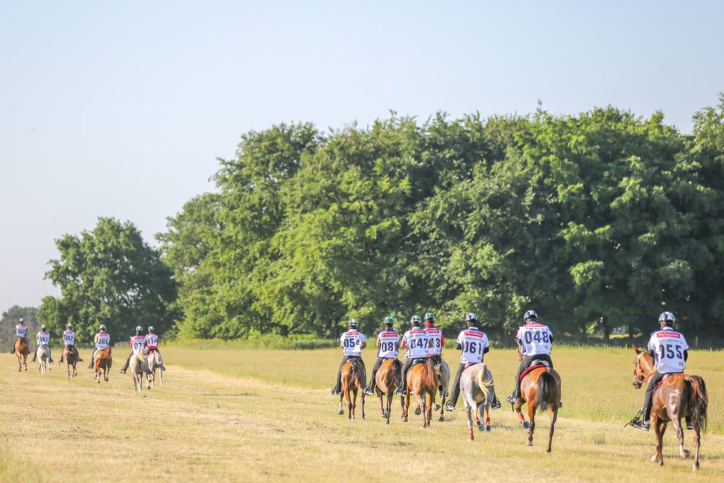 horse riding event photography