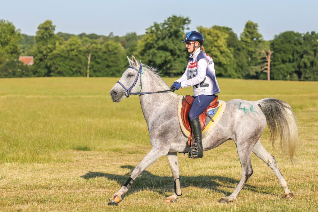 horse riding event photography