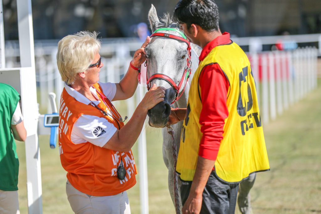 sports event photographer UK