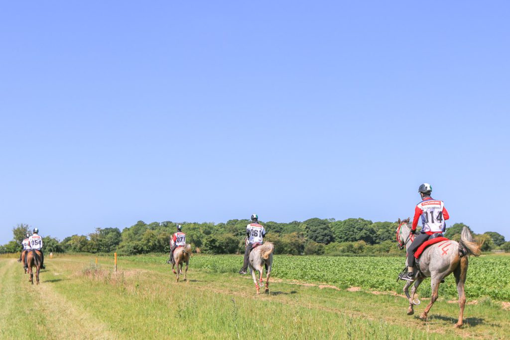 horse riding event photography