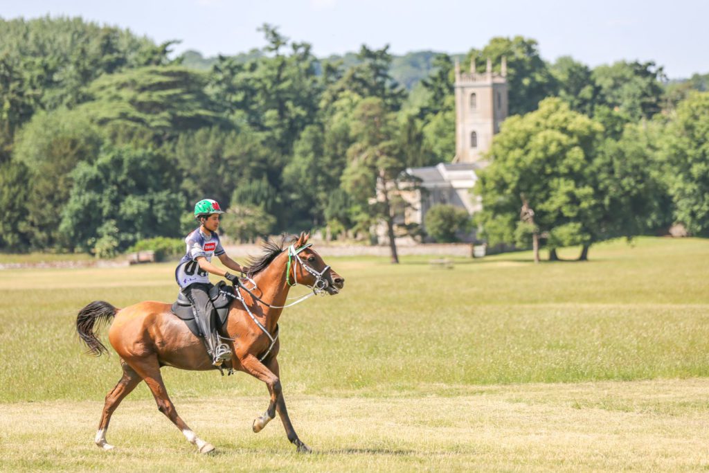 horse riding event photography