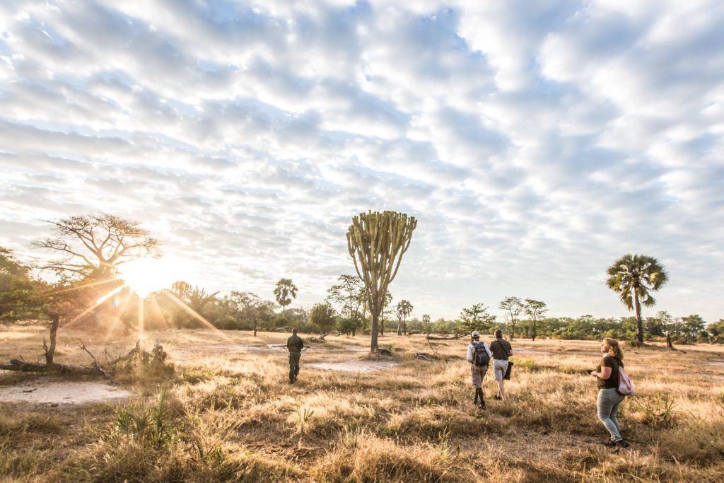 Safari Lodge Photographer Malawi