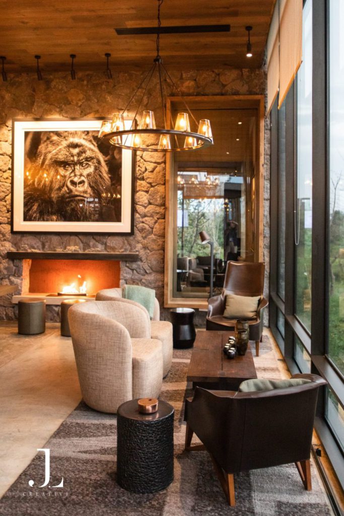 Luxury Wildlife Photography in Rwanda